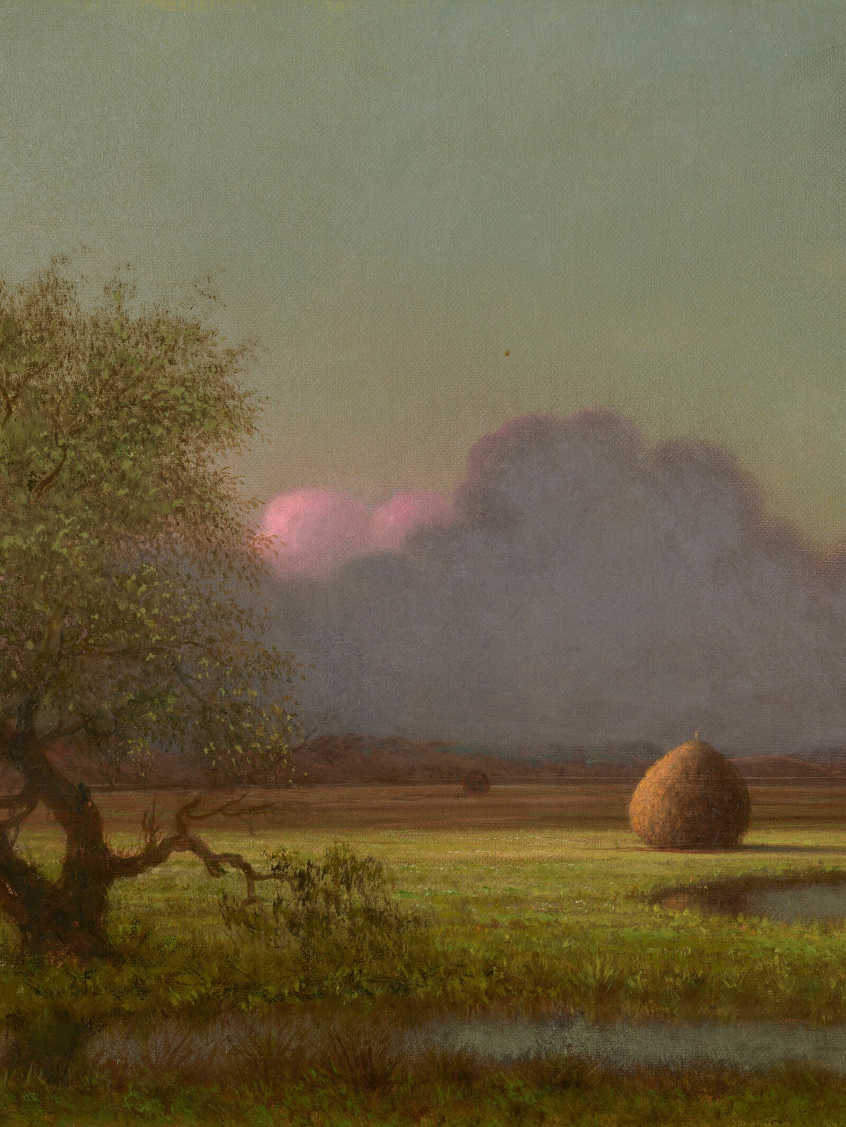 Papier peint panoramique Prairie d'Eau d'après Martin Johnson Heade