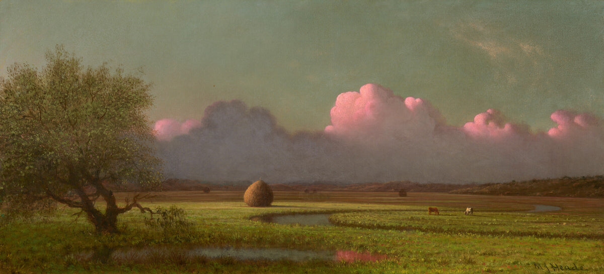 Sunlight and Shadow The Newbury Marshes, Martin Johnson Heade, National Gallery of Art